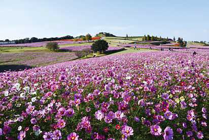 あわじ花さじき