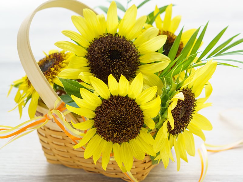 季節の花かご作成