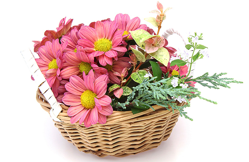季節の花かご作製