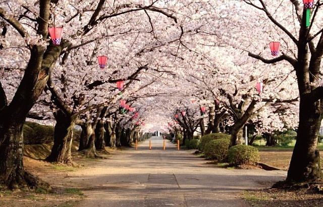 大阪造幣局